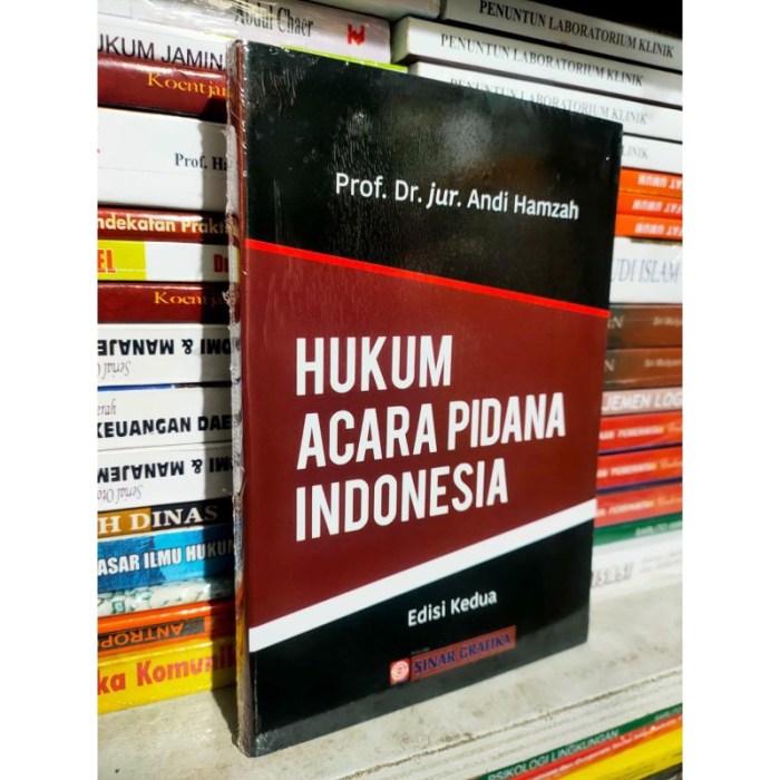 Pengertian perlindungan hukum menurut andi hamzah