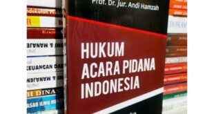 Pengertian perlindungan hukum menurut andi hamzah