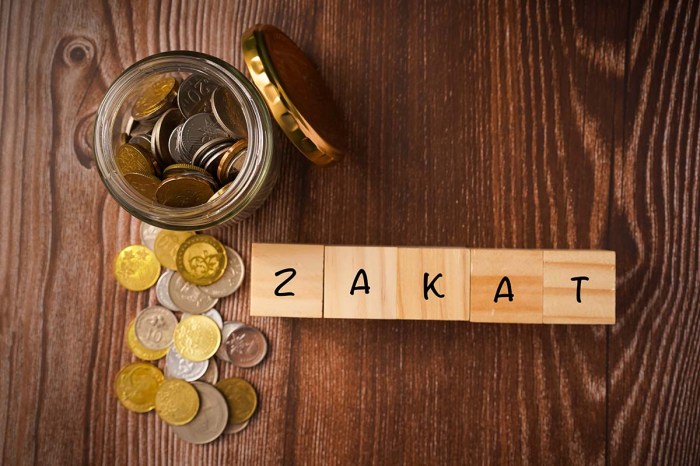 Jelaskan pengertian zakat mal menurut bahasa dan istilah