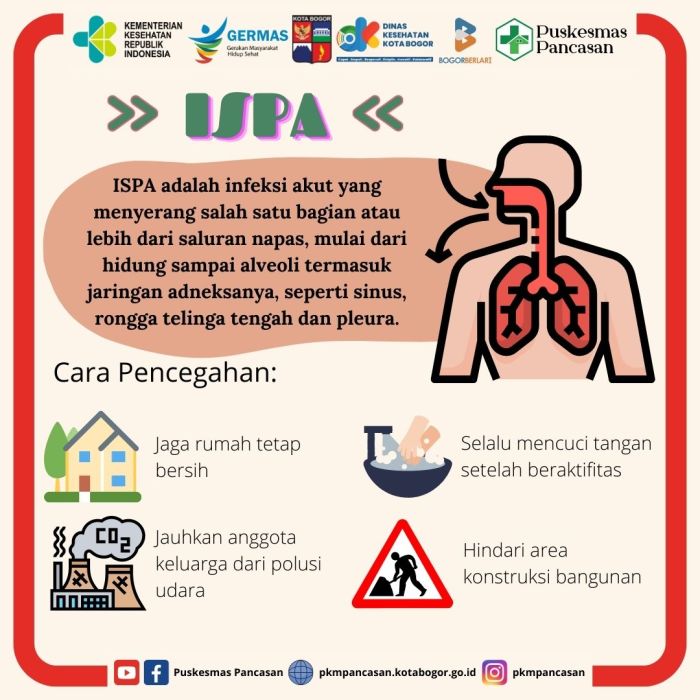 Pengertian ispa menurut kemenkes