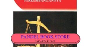 Jelaskan pengertian perlindungan hukum menurut andi hamzah