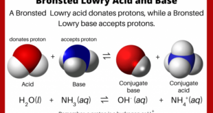 Pengertian asam dan basa menurut bronsted lowry