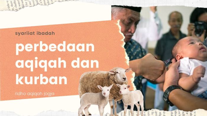 Jelaskan pengertian qurban dan aqiqah menurut istilah