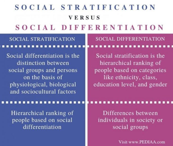 Pengertian diferensiasi sosial menurut para ahli