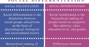 Pengertian diferensiasi sosial menurut para ahli