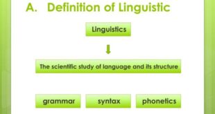 Pengertian linguistik menurut para ahli