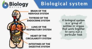 Pengertian biologi menurut para ahli