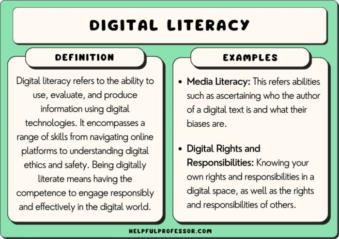 Pengertian literasi digital menurut para ahli