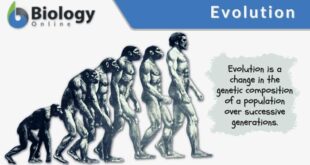 Pengertian evolusi menurut para ahli