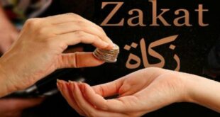 Pengertian zakat menurut bahasa adalah