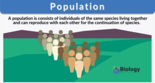 Pengertian populasi menurut para ahli