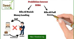 Pengertian riba menurut bahasa adalah